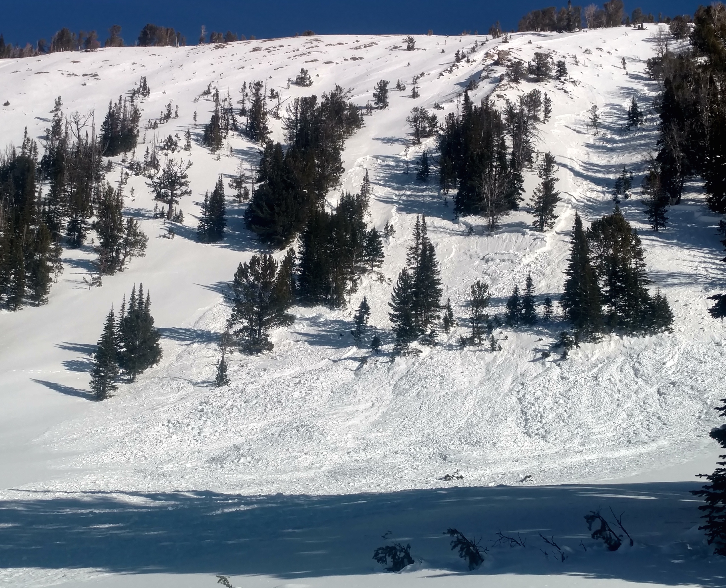 Avalanche in Beehive 4 - Jan 15