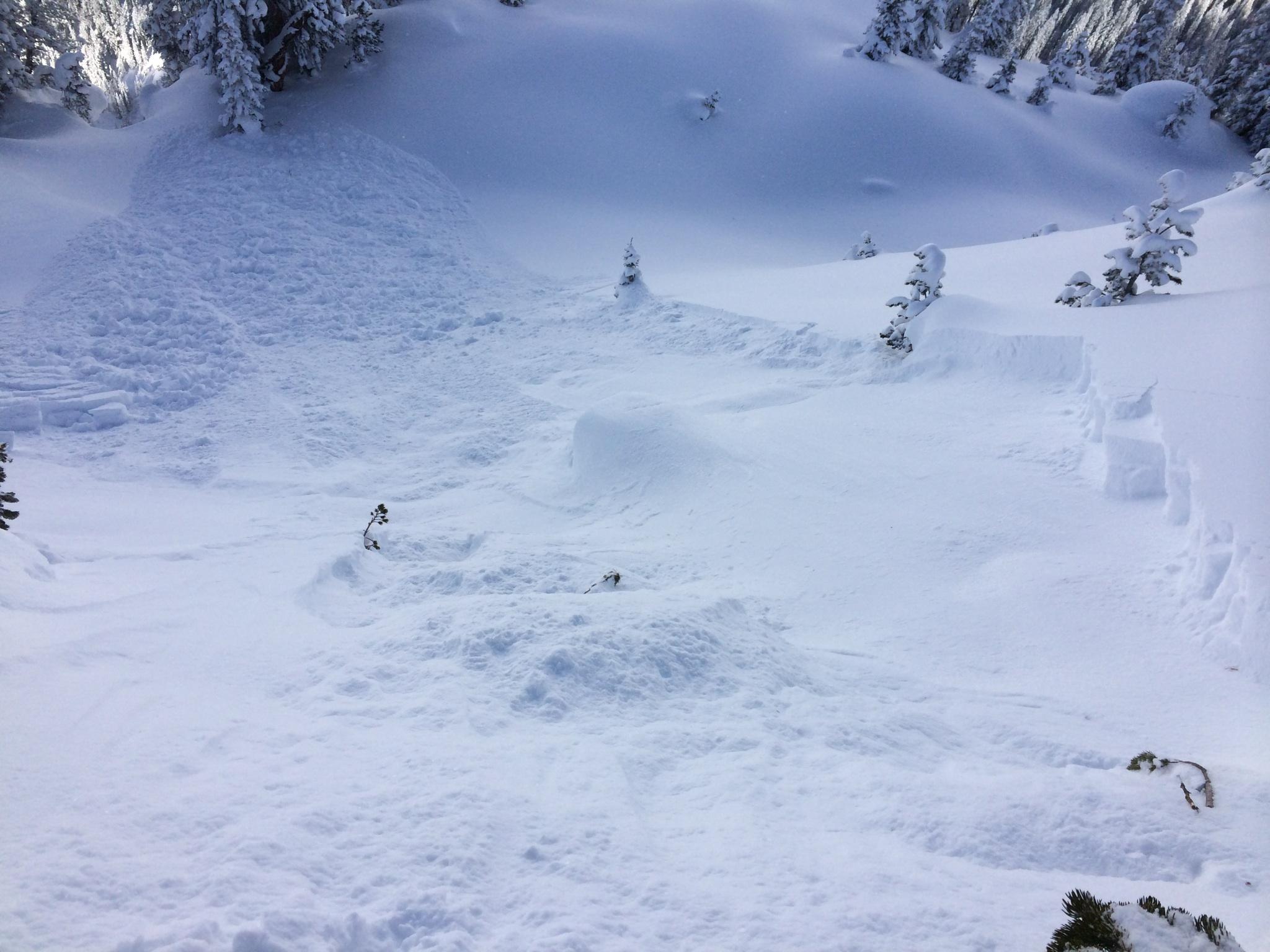 Small human triggered slide near Cooke City - 2/2/14