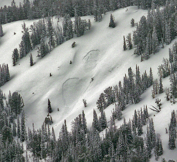 Natural Activity - Cooke City