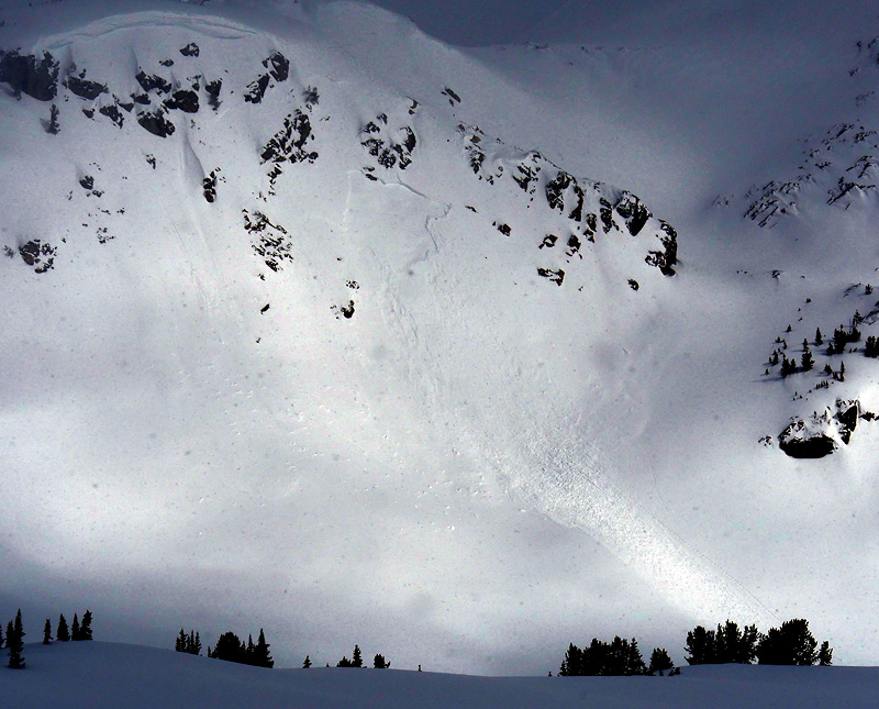 Avalanche near Mt. Zimmer