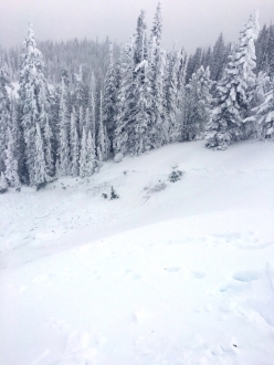 Cabin Creek Avalanche_1