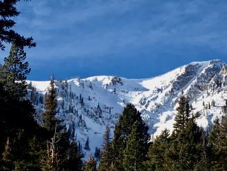 Natural Avalanche in Northern Bridgers