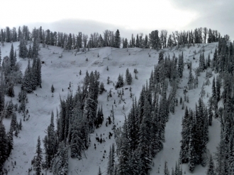 Avalanche Crown - Onion Basin Fatality 